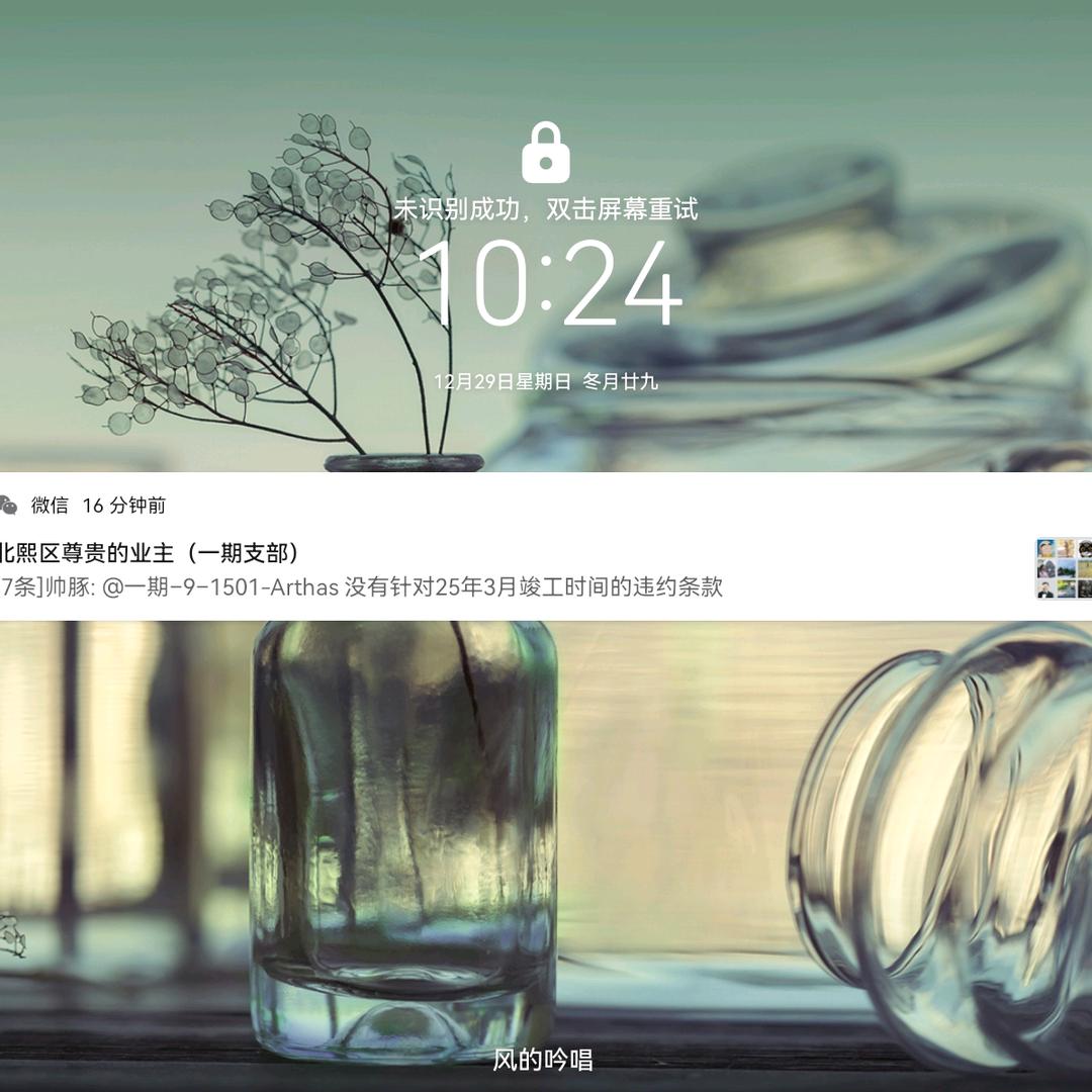 兴安杨