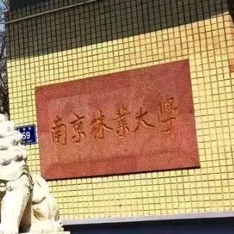 南林专接本王老师