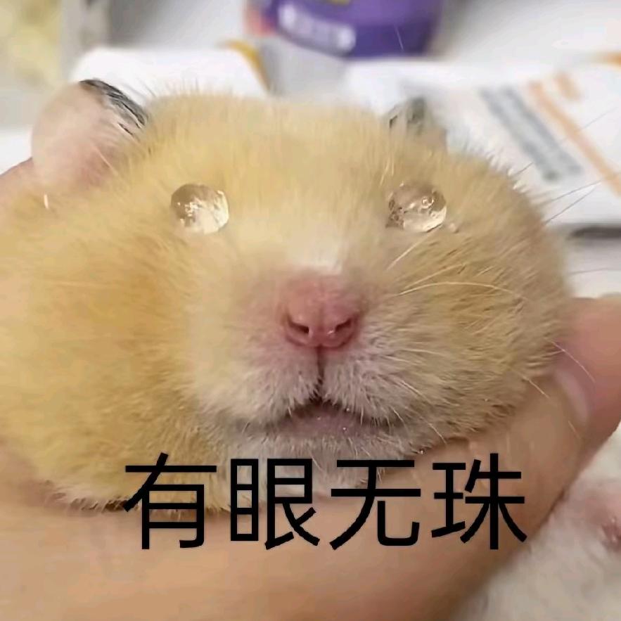 琳琳凛.