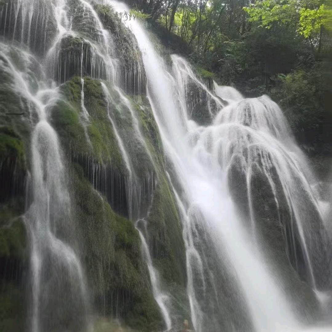 永不言败2