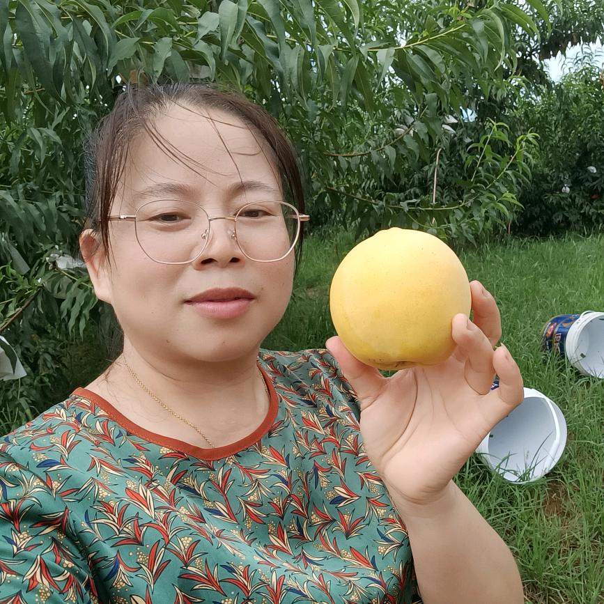 澧县梦鱼儿