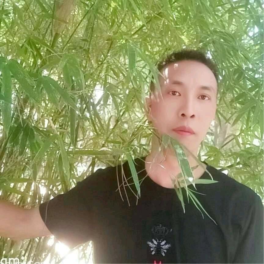 寻找我的爱人在哪里？