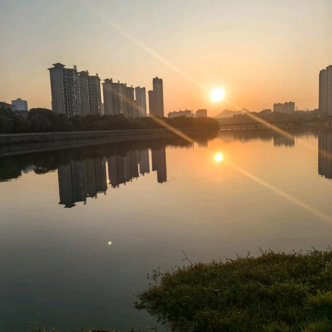 秋果咨询