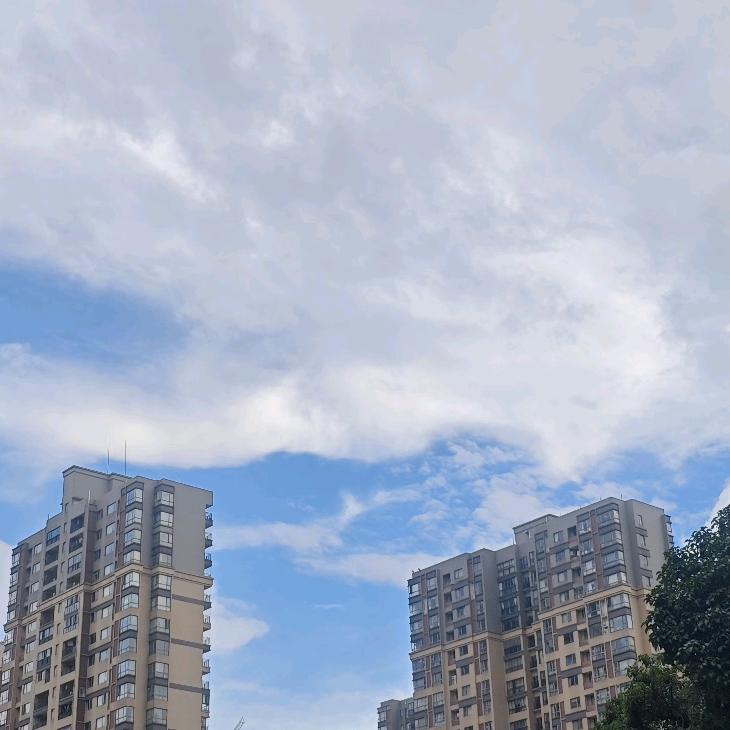 馨馨.