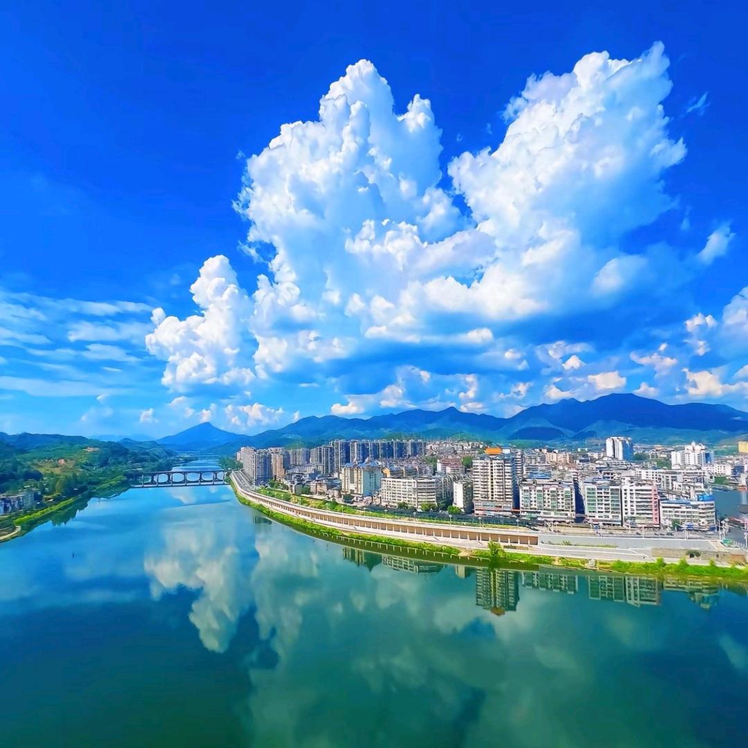 来生不做痴情人