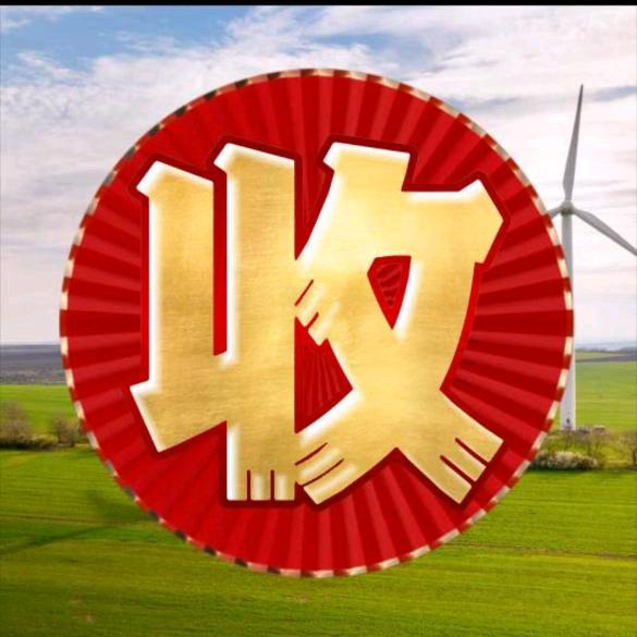 辛总回收