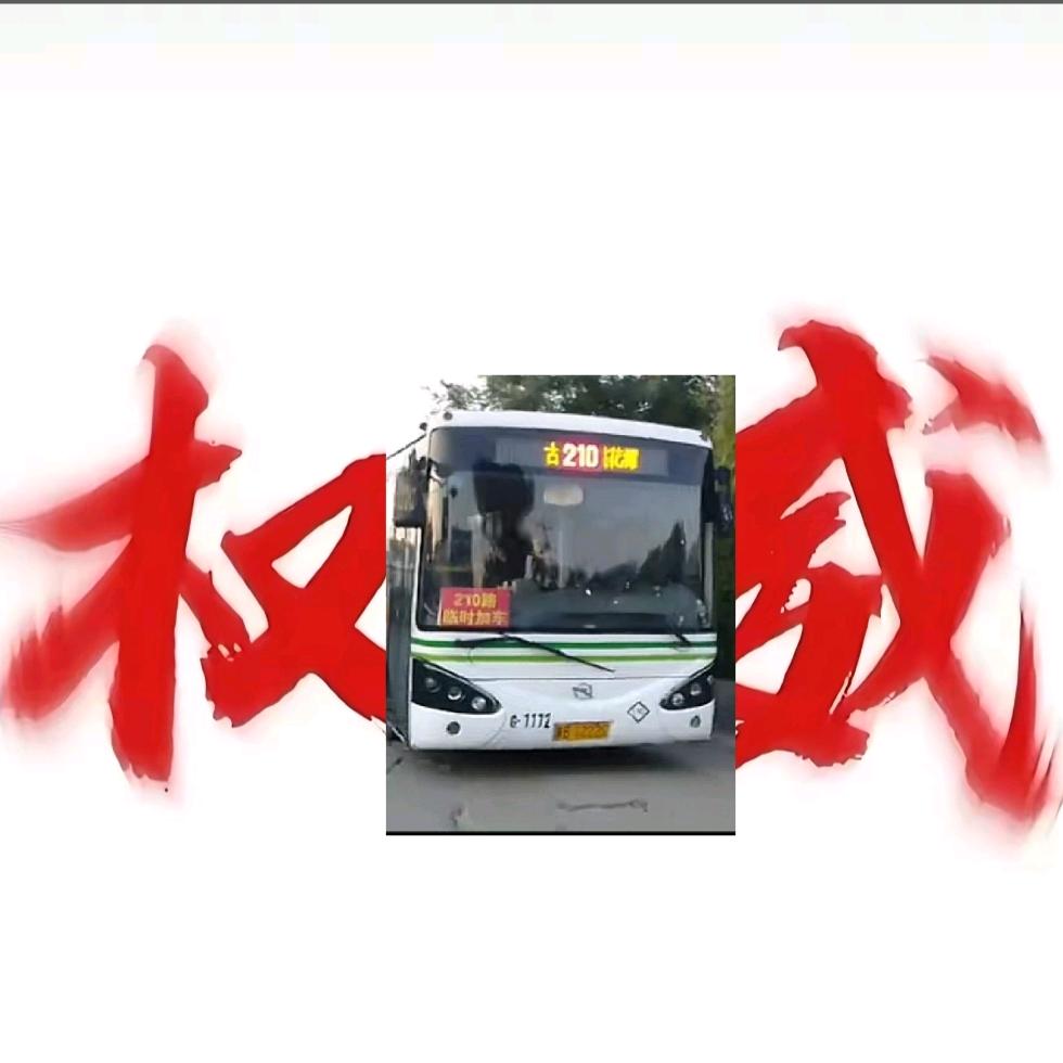 此生只爱210（冲1万粉）（开学缓更中）