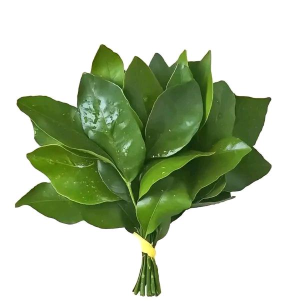 隔绝