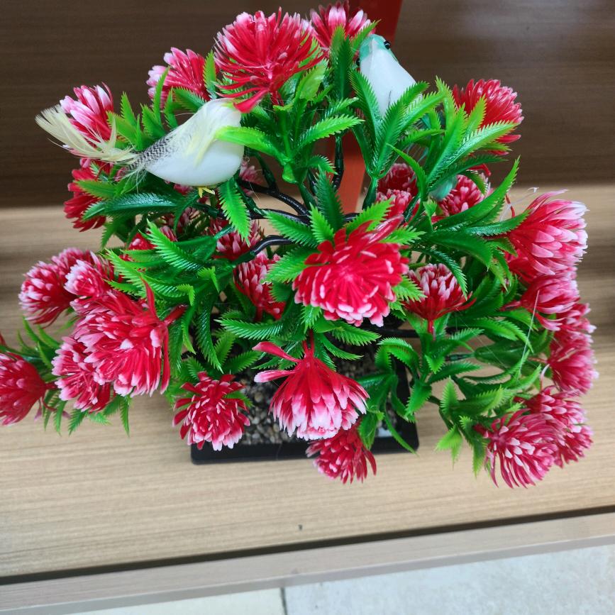 明天更美丽，