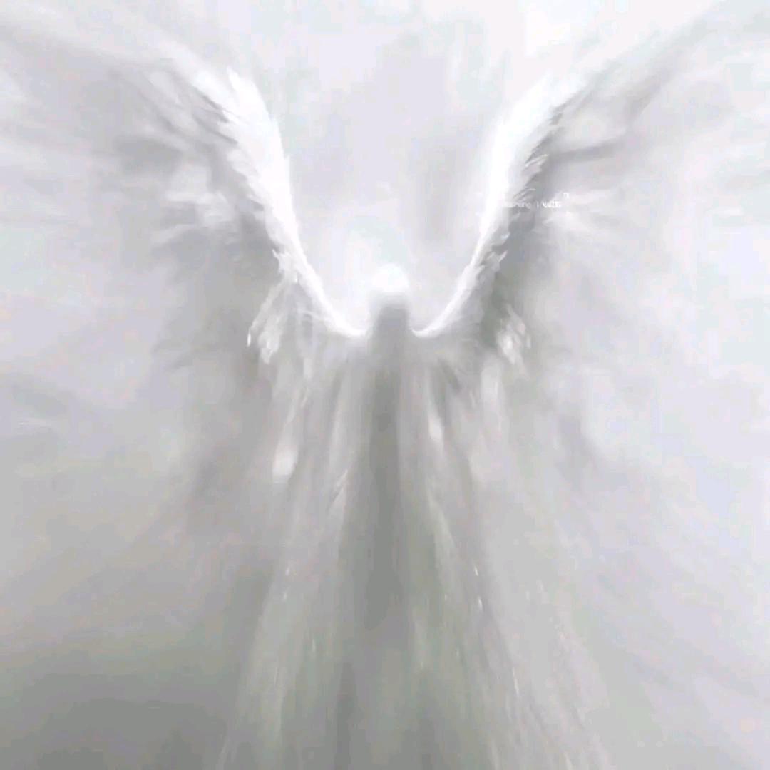 愫.