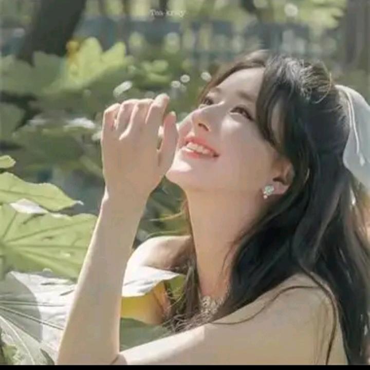 爱的港湾_22766