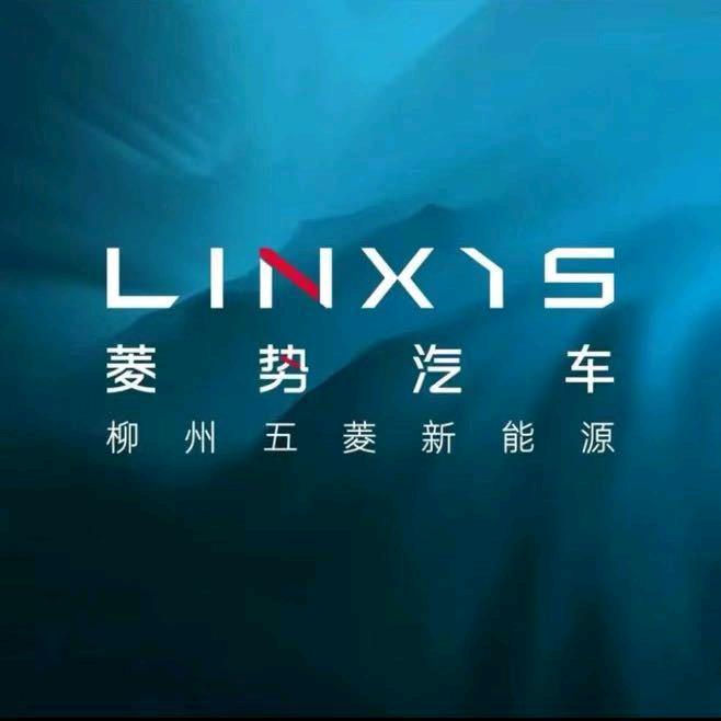 菱势汽车湛江市正菱新能源4s店