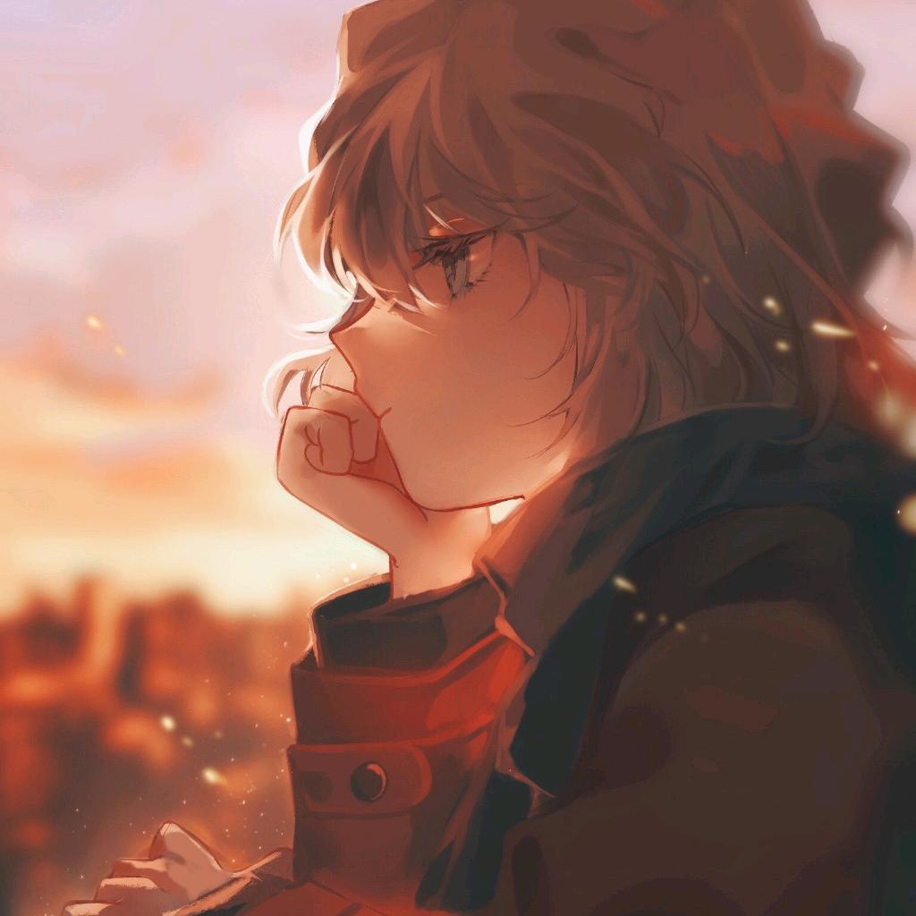 熵鸢