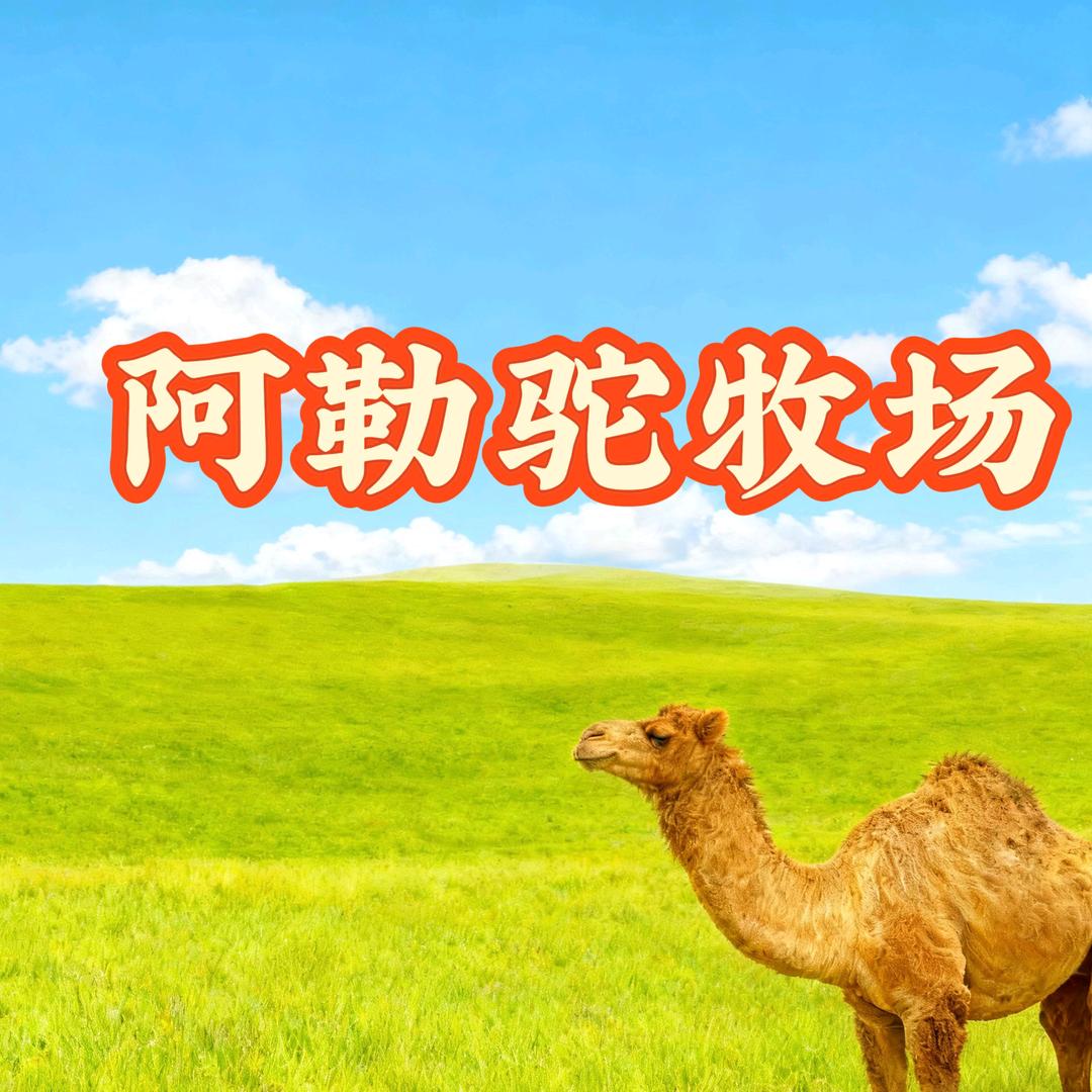 阿勒驼牧场一号店