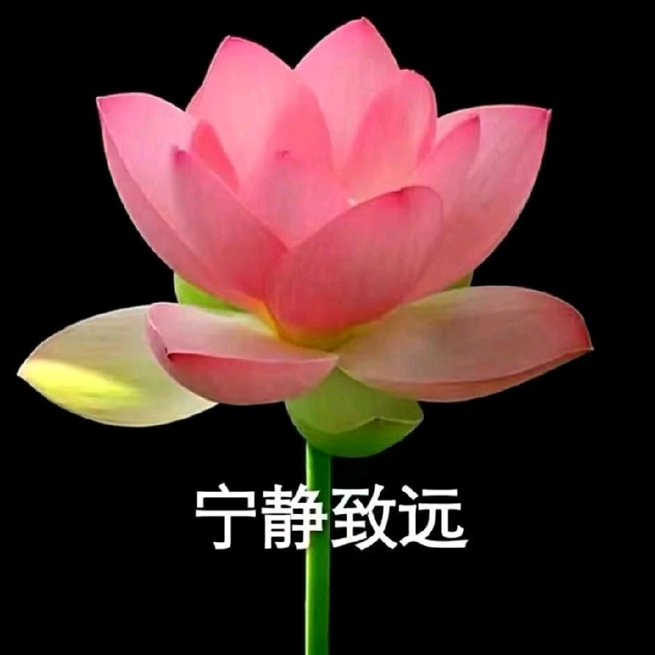 @二姐