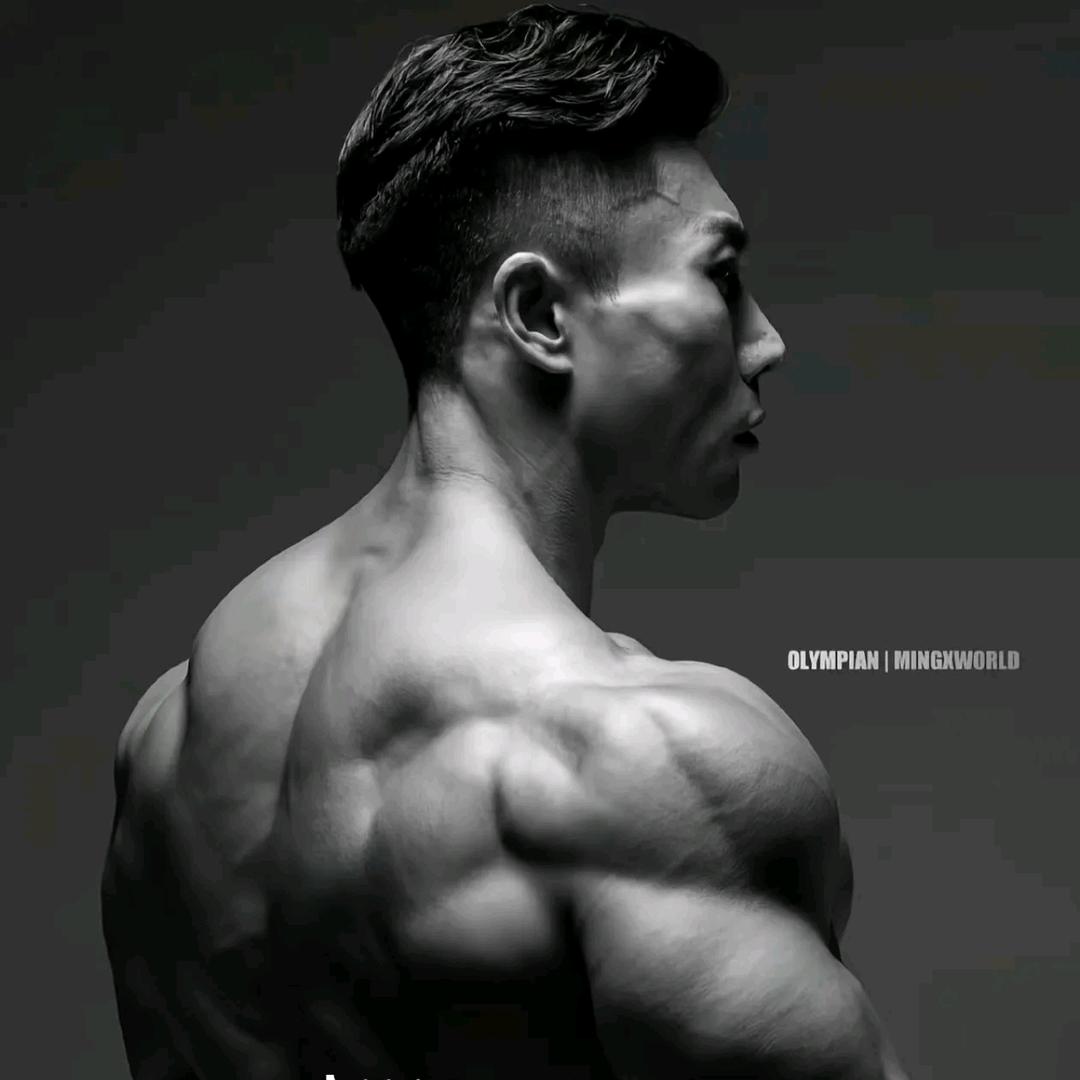 陈琪（认真减脂版）