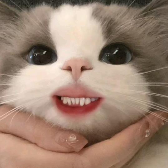 我dē心°💥