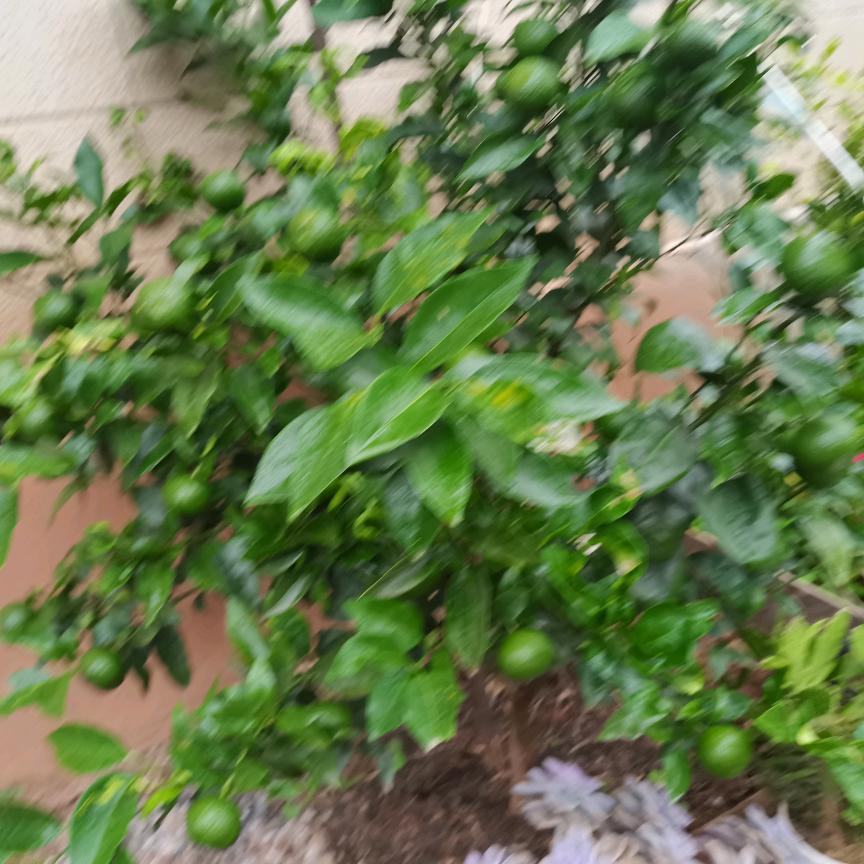 我是一个80后陪读妈妈