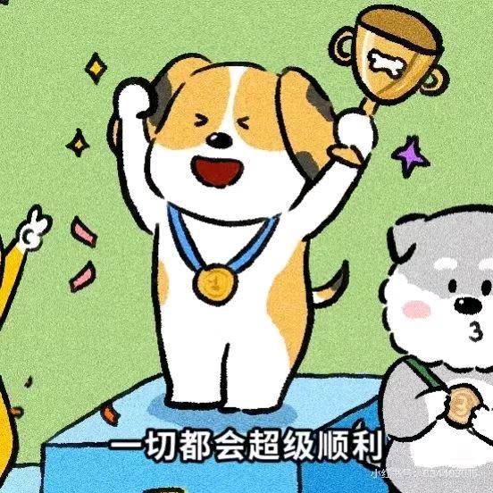 💞熊猫💖
