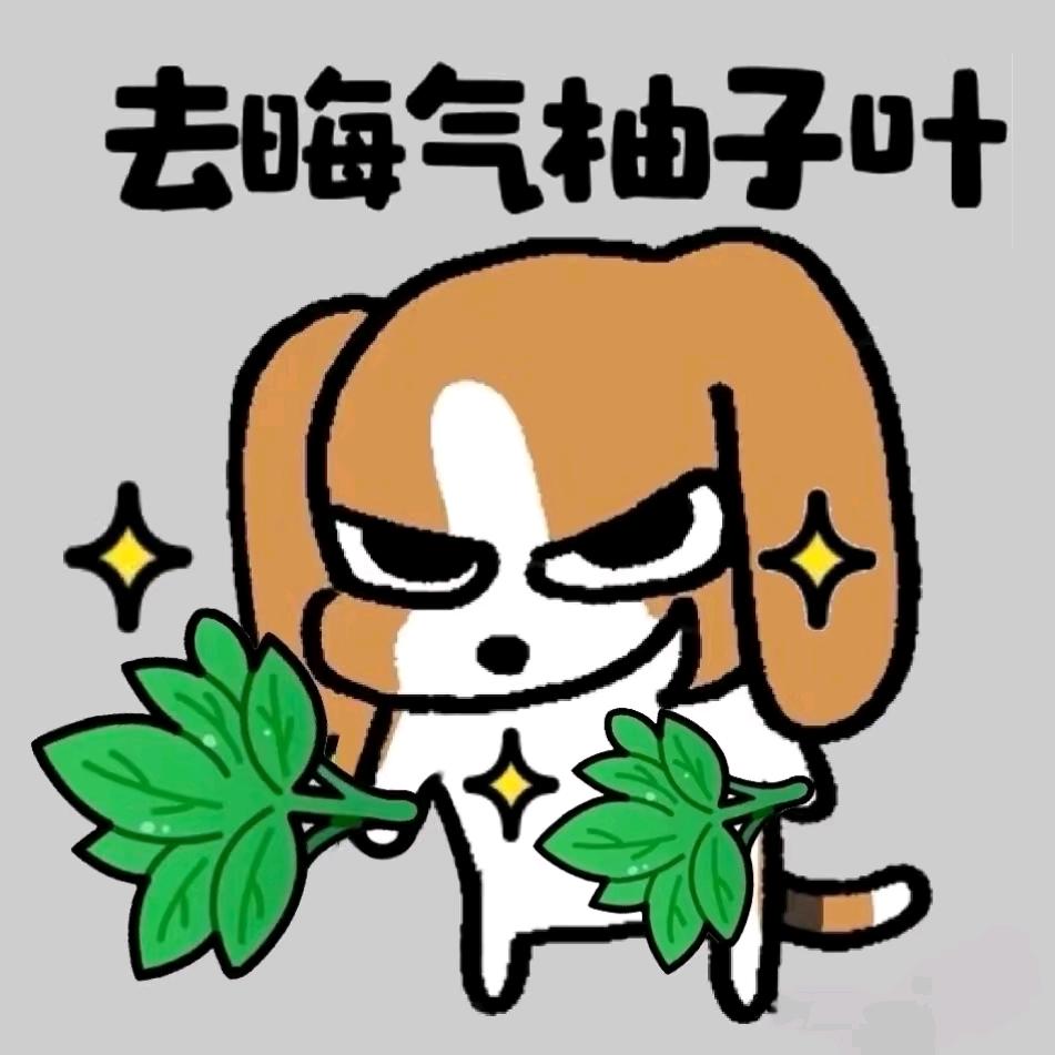 瑞丝 Cherry_Li🐆