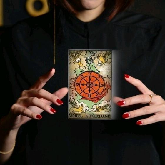 灵问神谕🔮