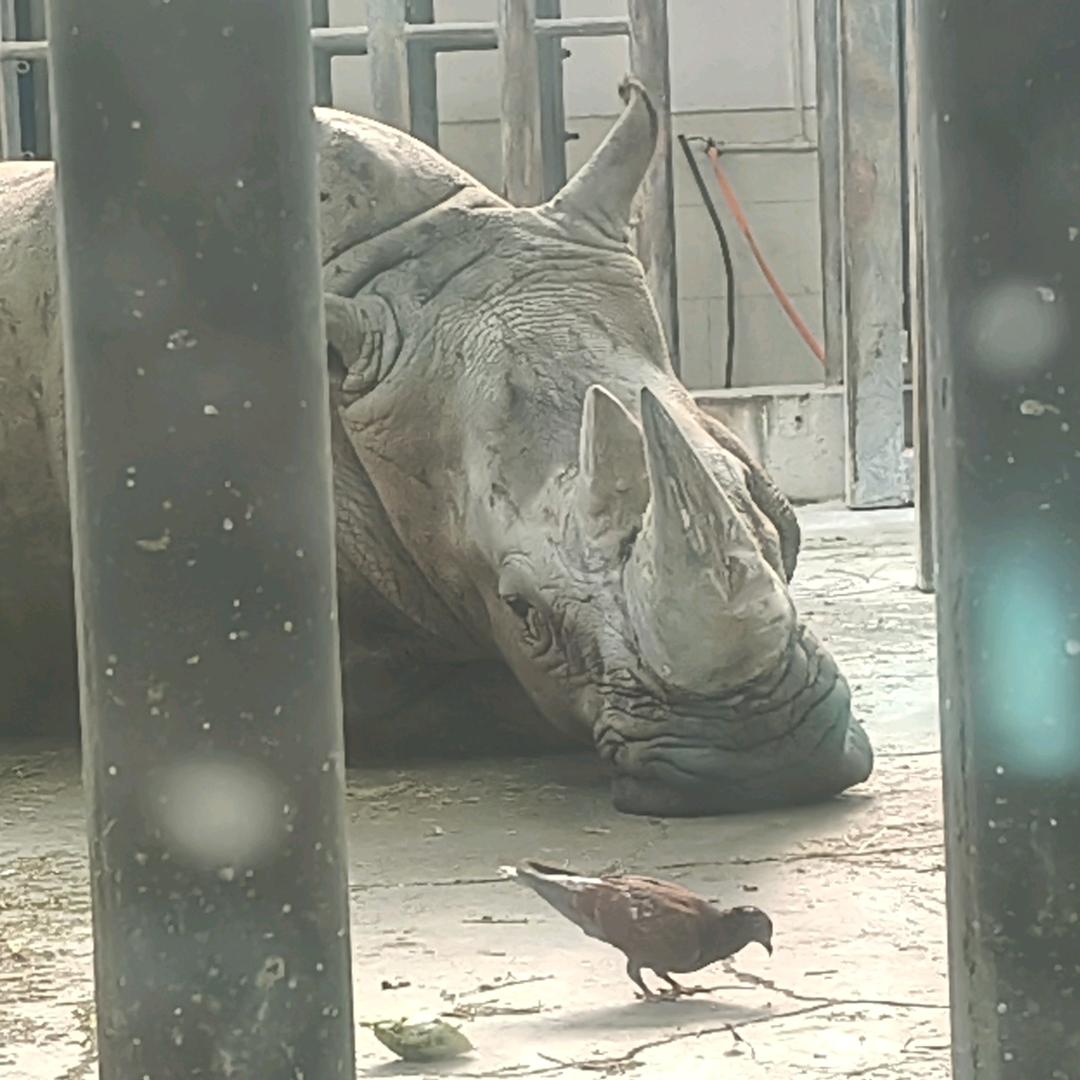 烈酒与温柔