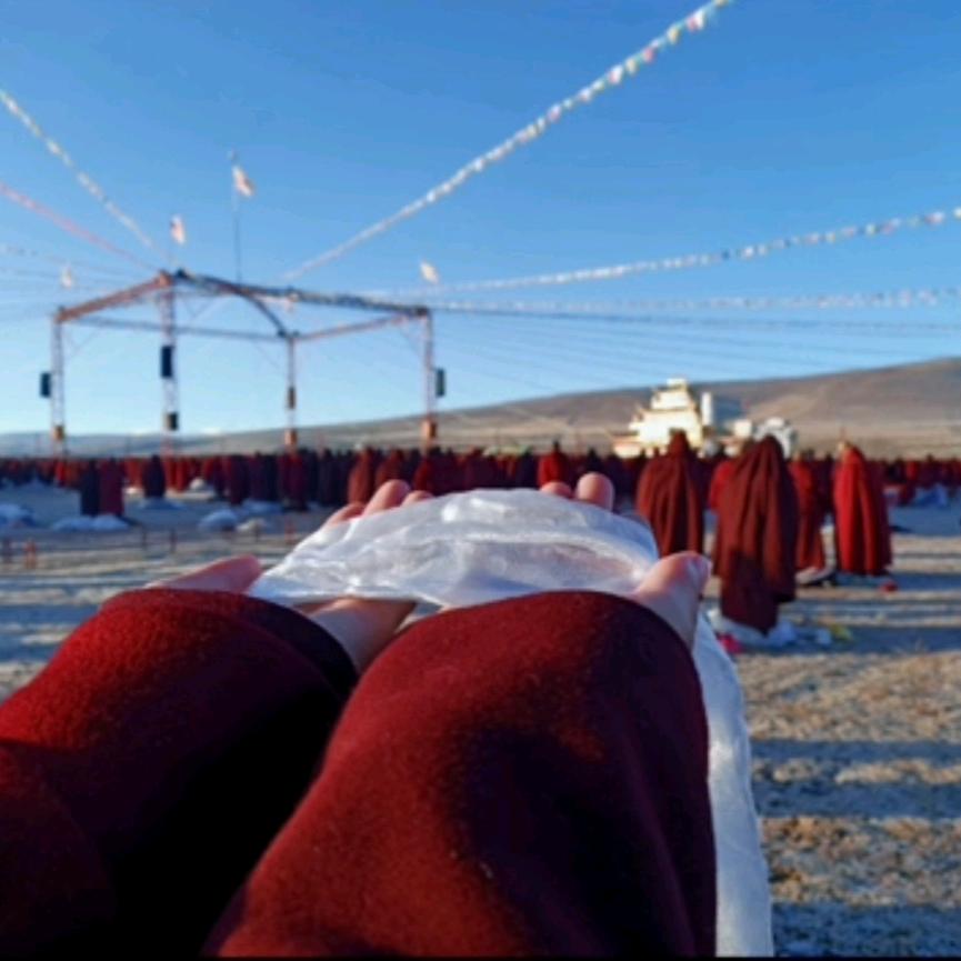 ལོ་མ་