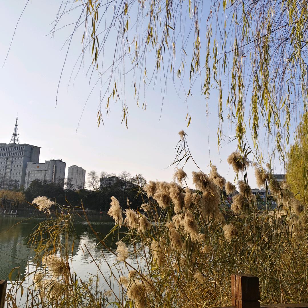 @《醒悟》（连赞不过三）