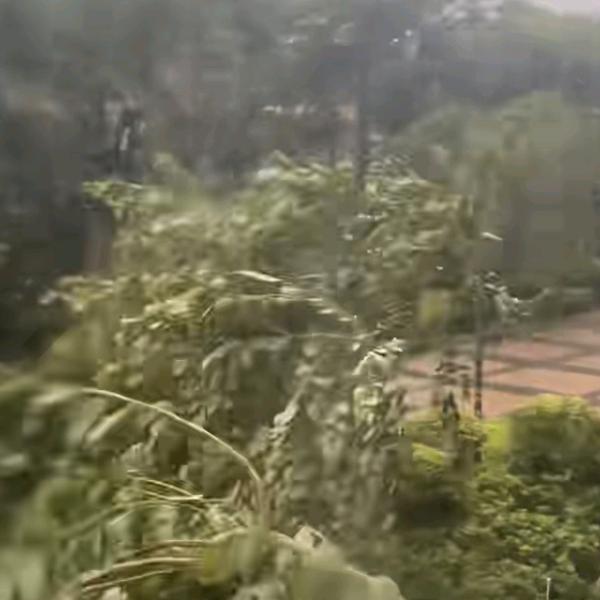 不再执着往事如烟