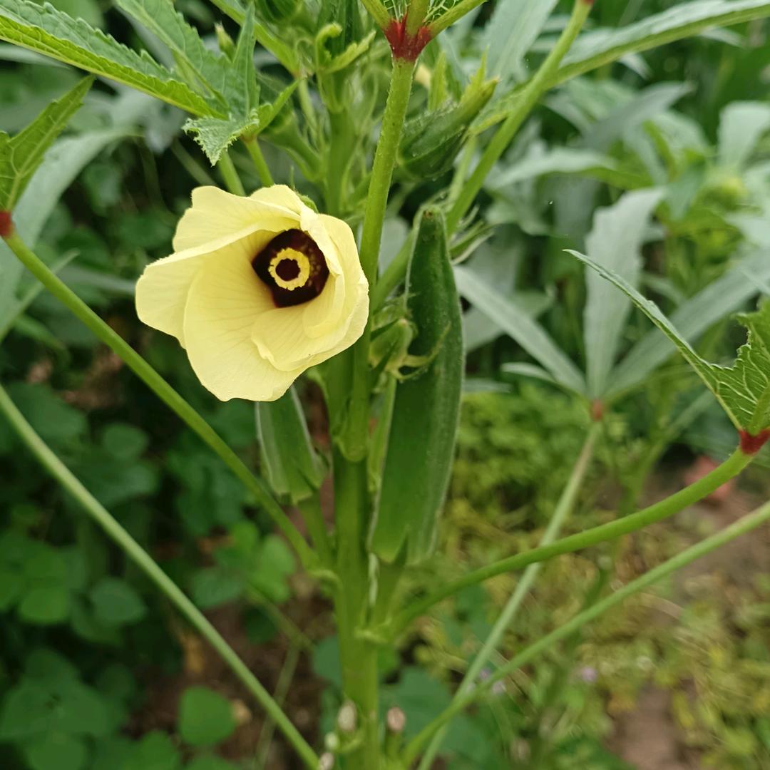 顺其自然,随遇而安