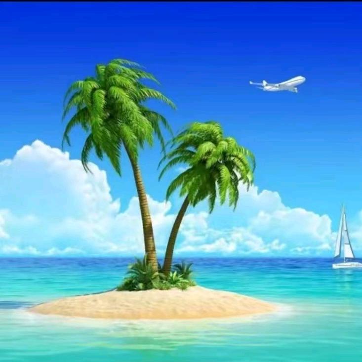 情缘（云朵白）521