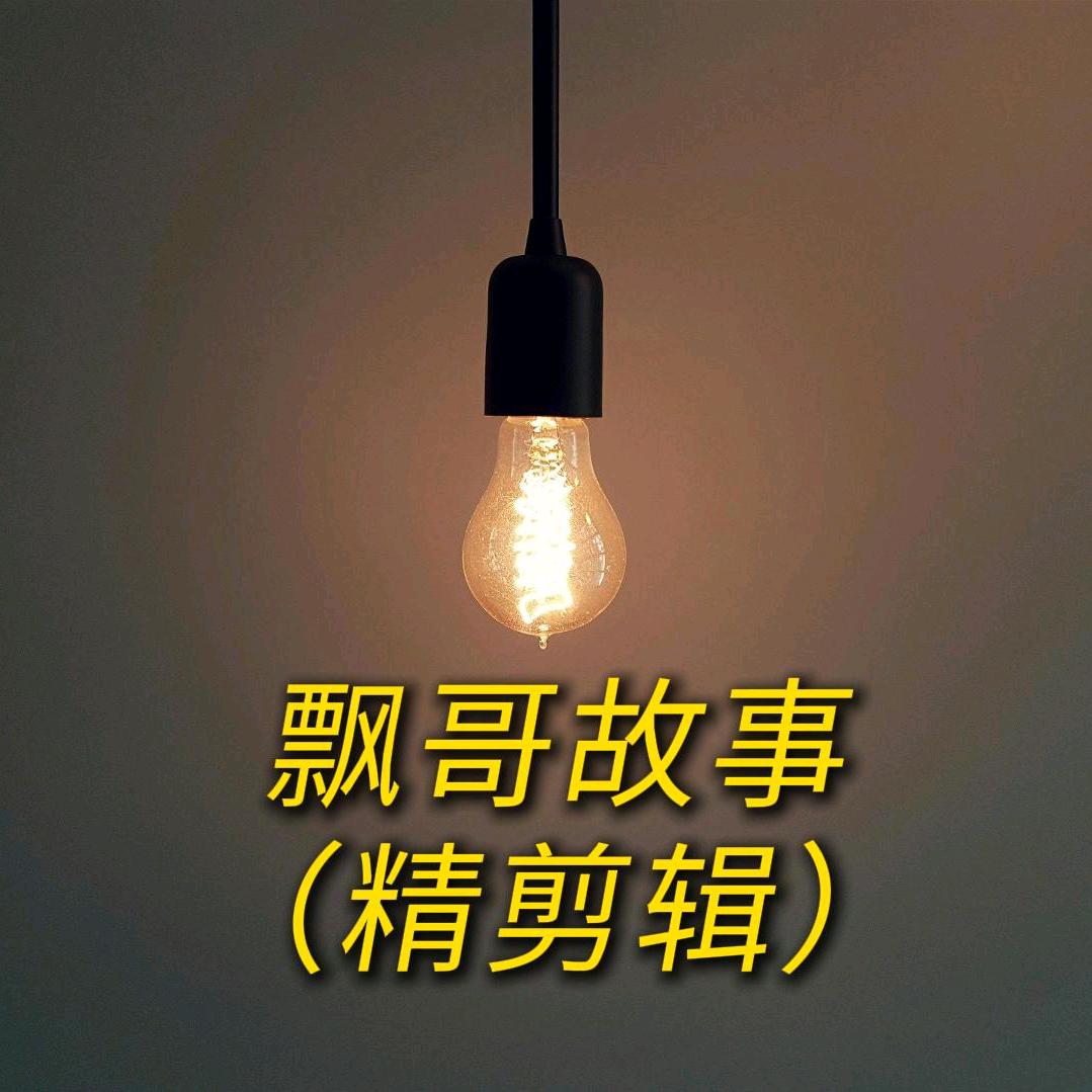 飘哥故事（精剪辑）