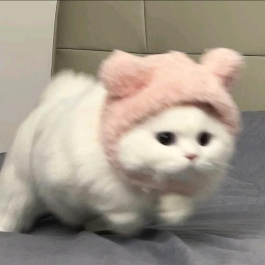 周六野