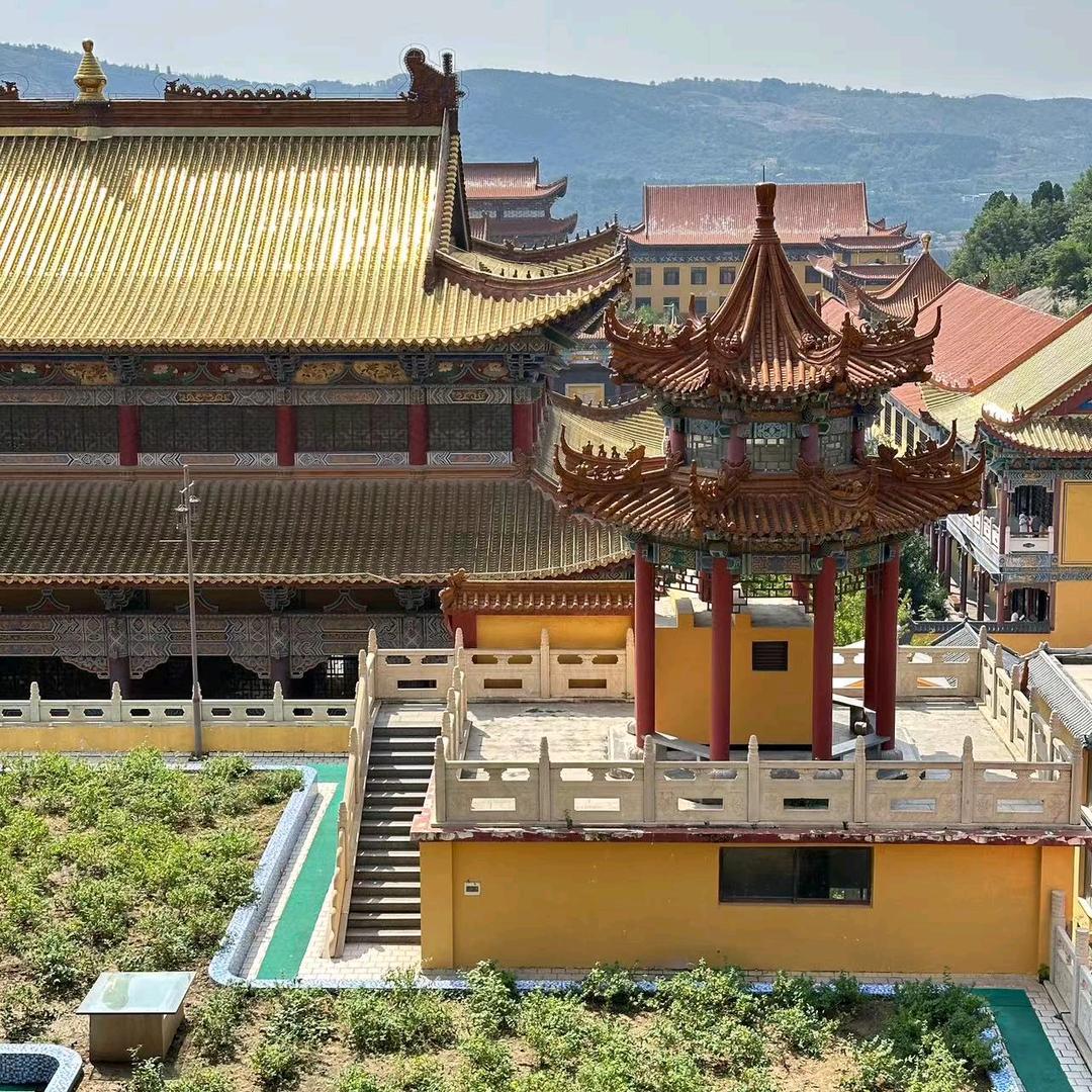 邵峰妈妈🌹🌹