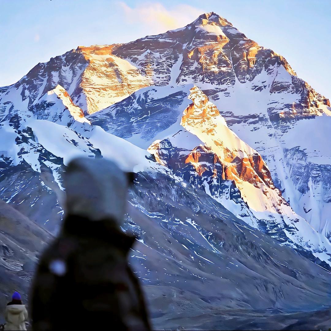 巷子里的一只猫