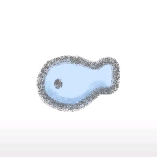 泡面