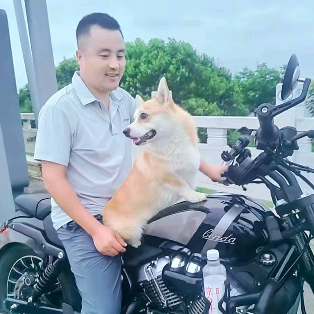 这个网名起的怎么样