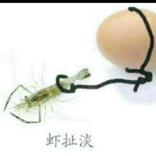 人善人意👫