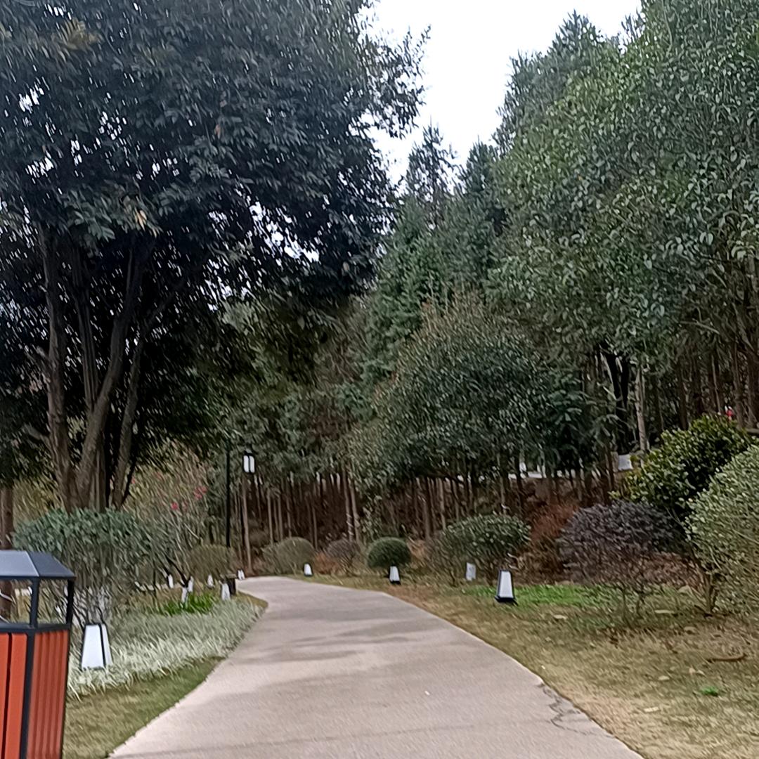 园姐