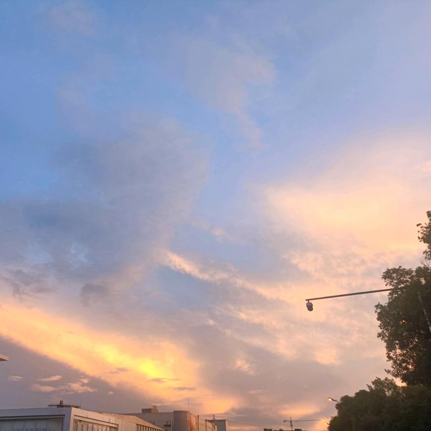 顾子轩(军师)Lr.Yuan