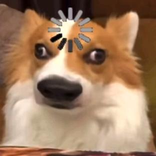 十六(●—●)