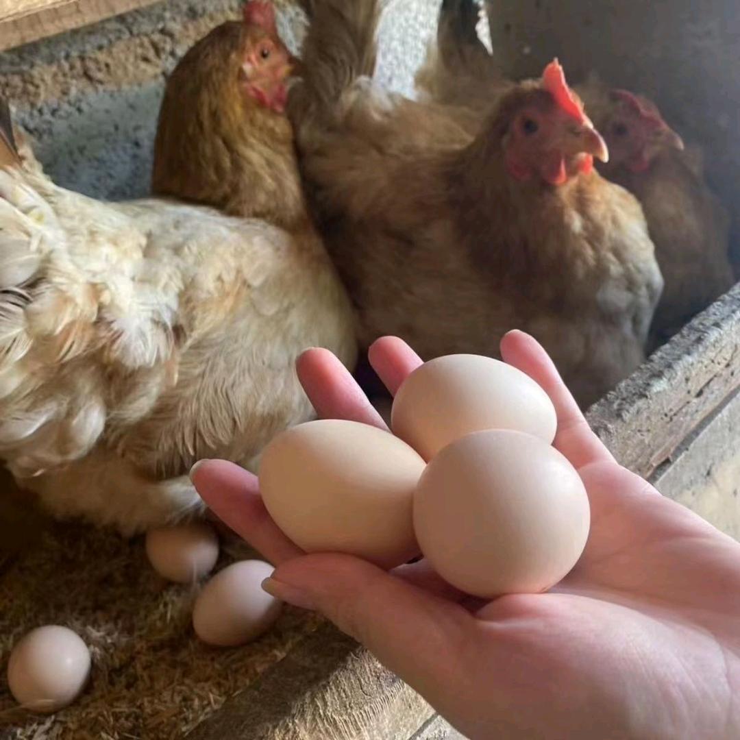 皖南广德刘姐土特产