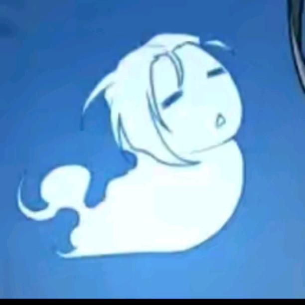 一只飞翔的小狗。