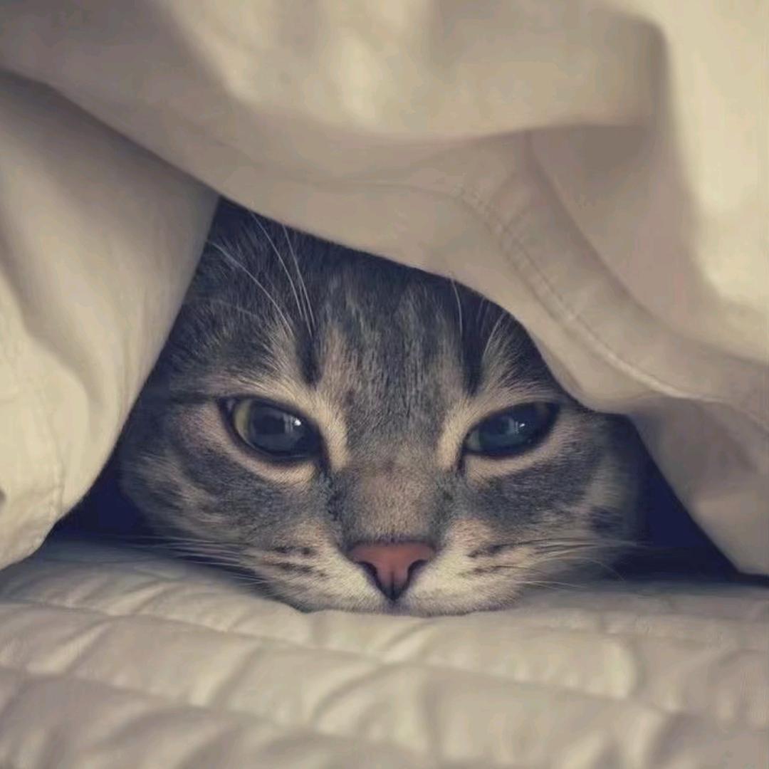 第三秒.