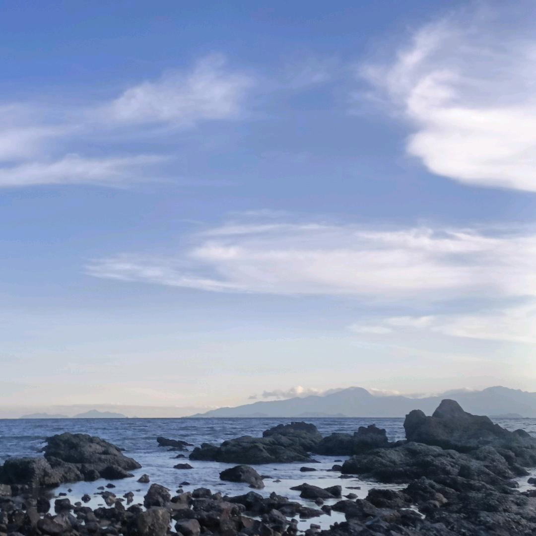 沧海一声笑