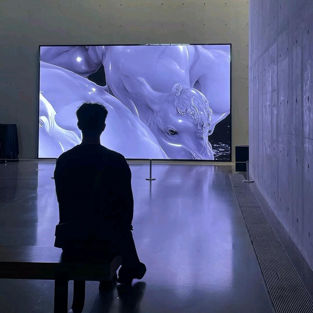 菜菜