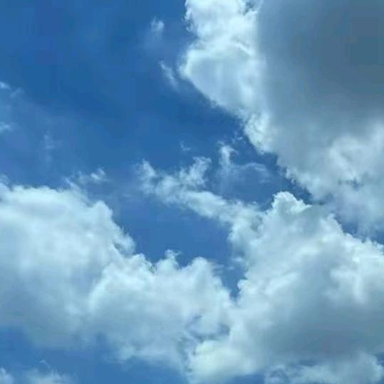 琼琼