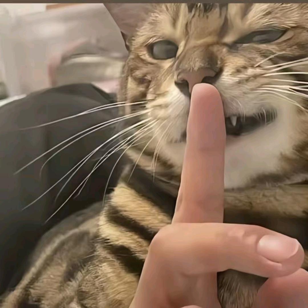 枪动情飘渺
