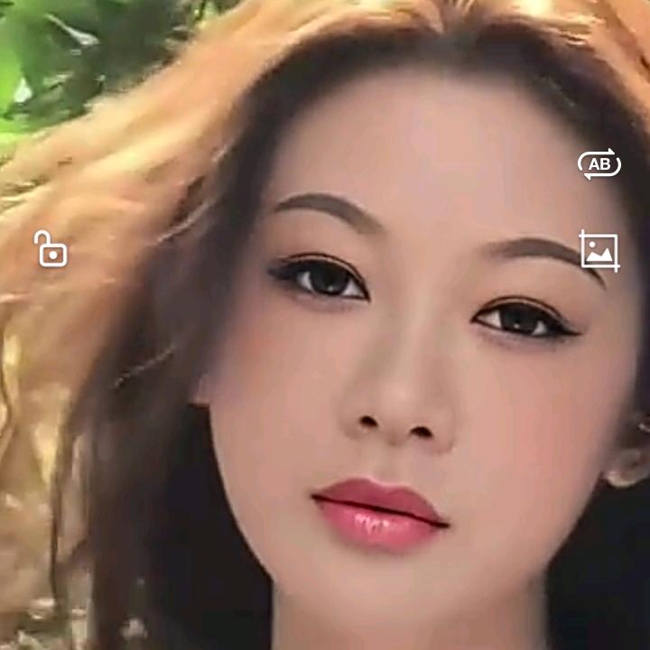 卖石材的爱养狗