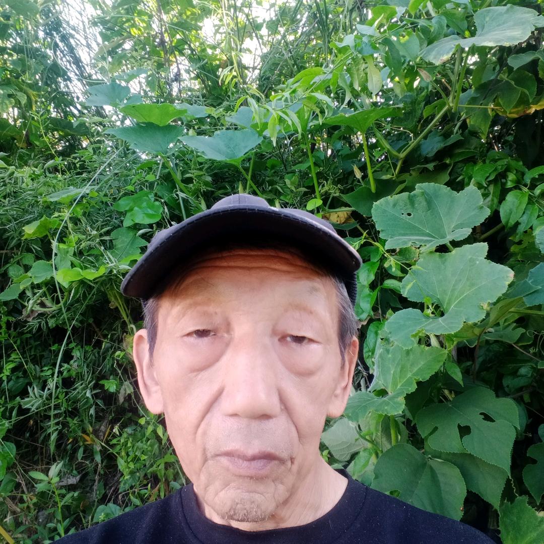 开心牛早6.20开直播，